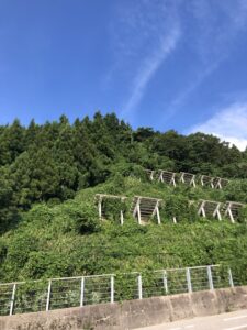 相倉合掌造りの屋根と夏空(世界遺産の一角)